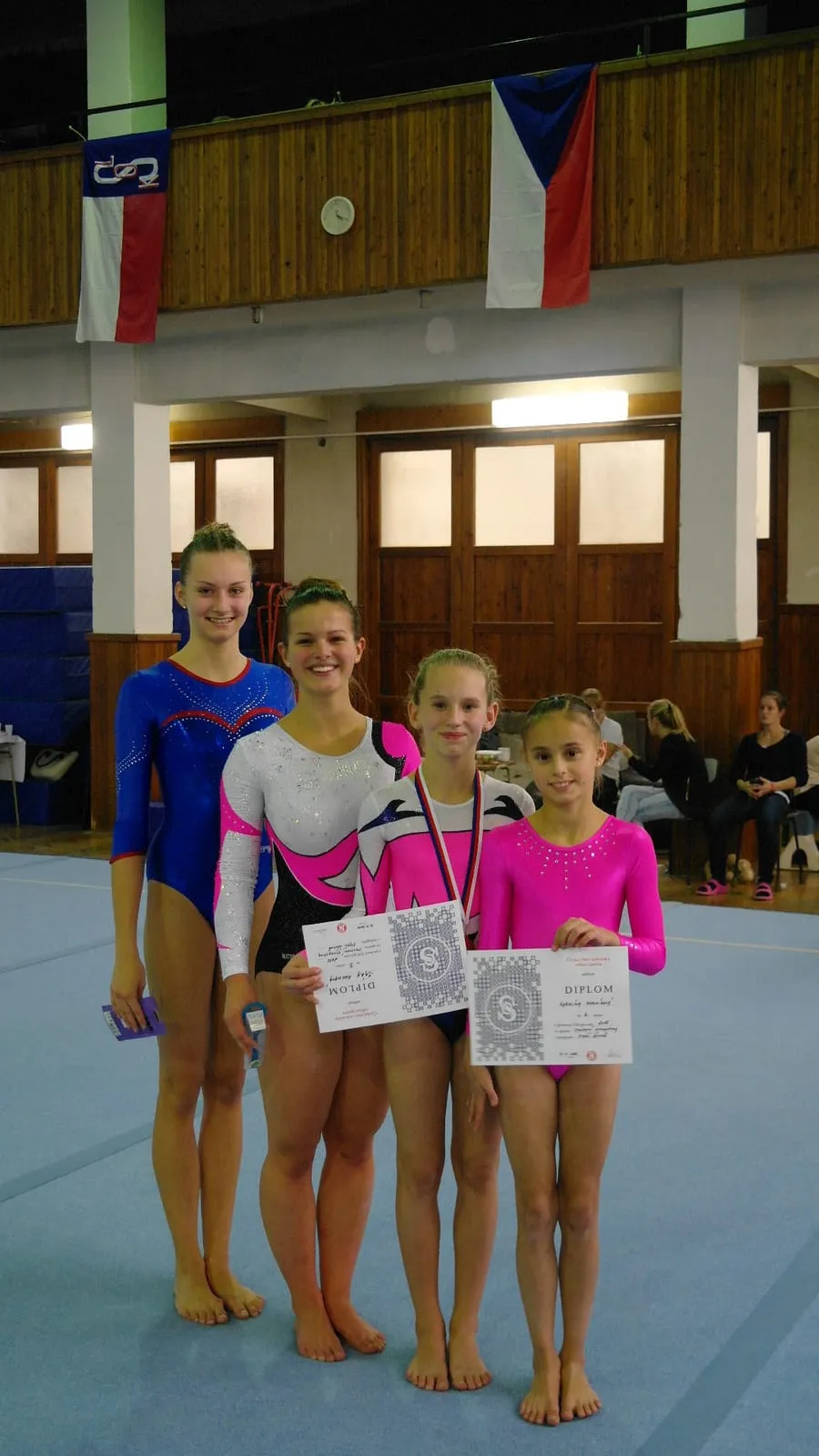 Mistrovství republiky oddílů ČOS ve sportovní gymnastice.