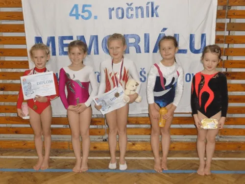 Župní vzpomínkový závod Lídy Pejchové ve sportovní gymnastice.