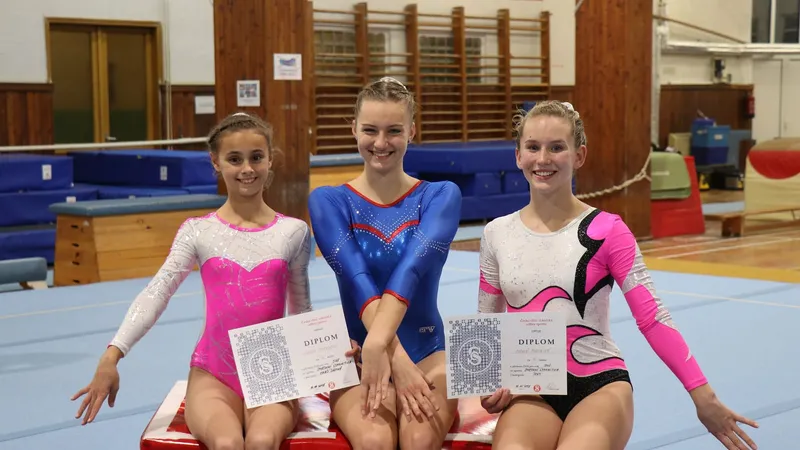 Mistrovství republiky oddílů ČOS ve sportovní gymnastice.