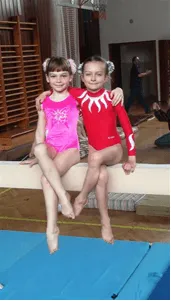 Přebor Čech oddílů ČOS ve sportovní gymnastice žen.