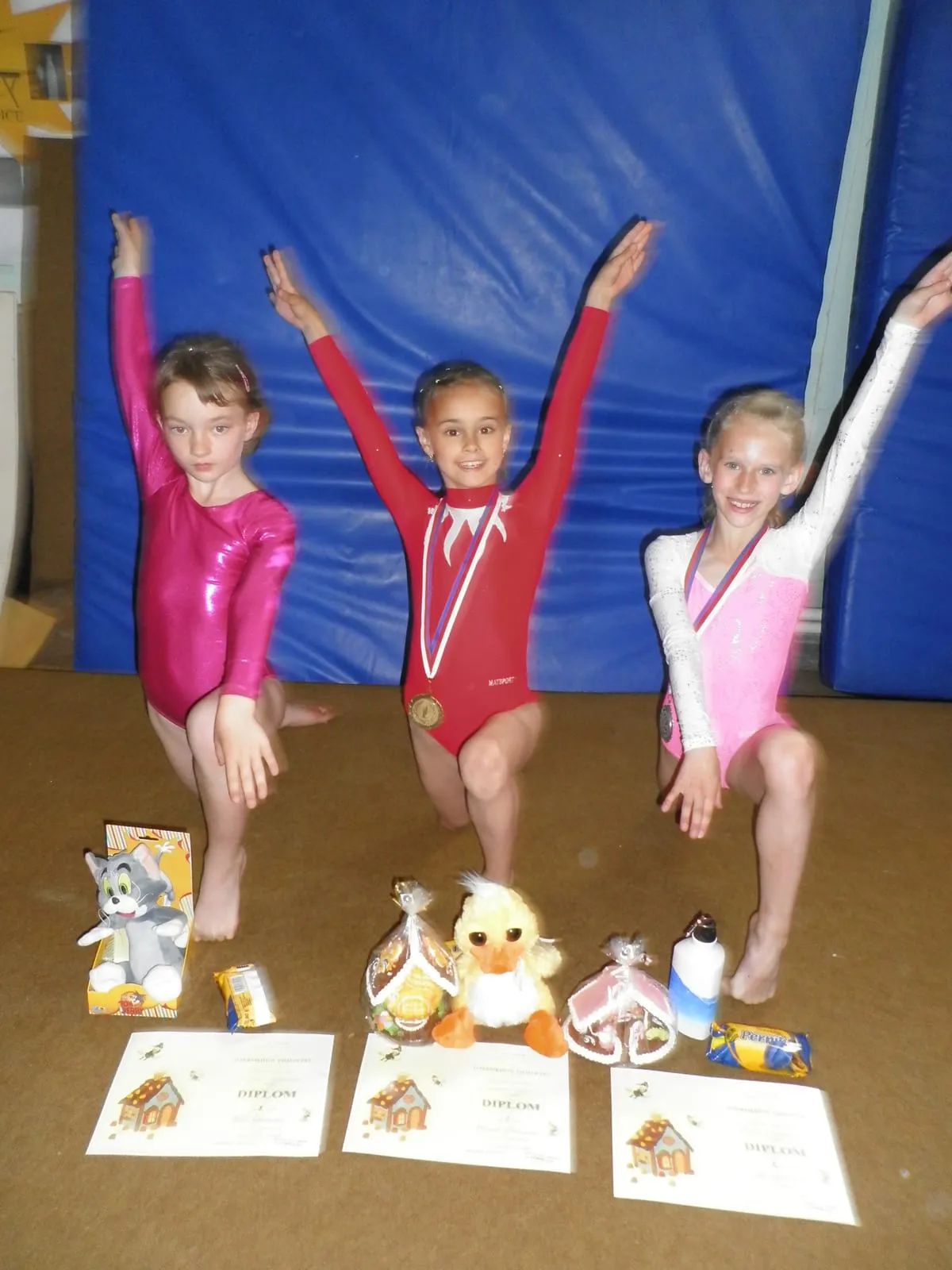 Chrudimské malé gymnastky přivezly opět medaile.
