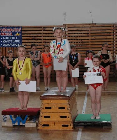 Oblastní přebor ve sportovní gymnastice. Chrudimské gymnastky získaly 3 medaile.