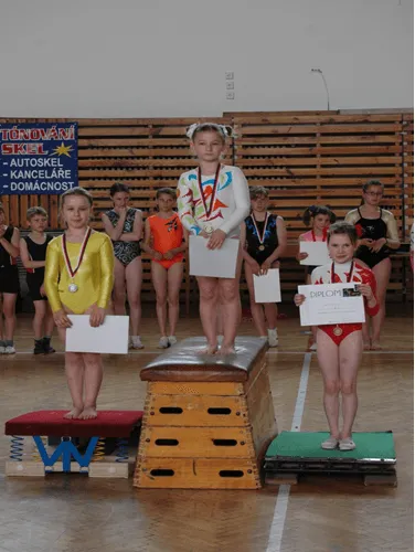 Oblastní přebor ve sportovní gymnastice. Chrudimské gymnastky získaly 3 medaile.