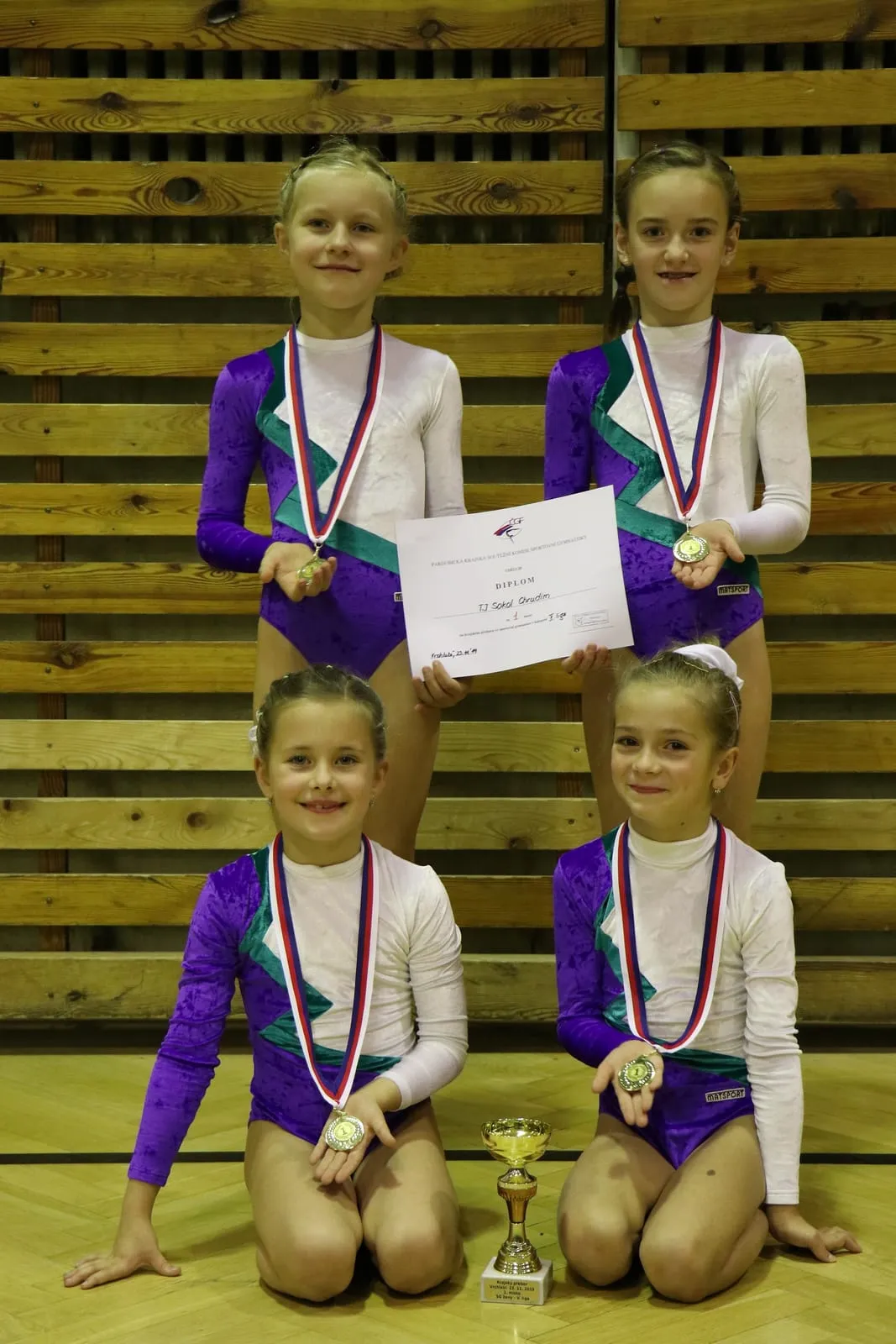Všechny chrudimské sportovní gymnastky odjížděly s medailí z krajského přeboru.